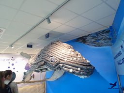 Haus des Meeres 4.02.2026